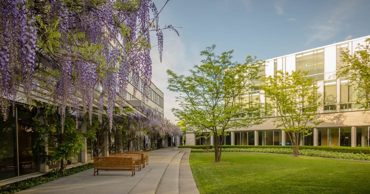 York University Schulich School of Business BBA Supplementary Application Guide